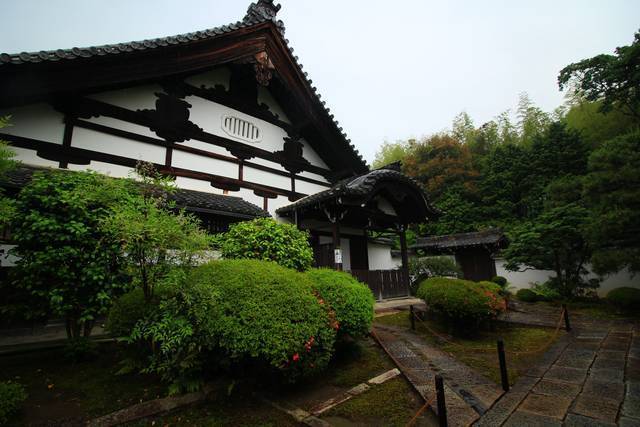 【東福寺】雨の日も美しい。東福寺 塔頭 芬陀院（ふんだんいん）でゆったりと【雨の京都】
