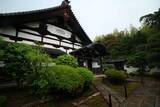 「【東福寺】雨の日も美しい。東福寺 塔頭 芬陀院（ふんだんいん）でゆったりと【雨の京都】」の画像2