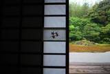 「【東福寺】雨の日も美しい。東福寺 塔頭 芬陀院（ふんだんいん）でゆったりと【雨の京都】」の画像7
