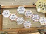 「【京都かき氷めぐり】京都屈指の蜂蜜専門店！ハチミツ8種類をさらにかけ放題♡「ミールミィ本店」」の画像15