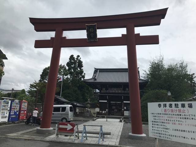 京都の花 お酒の神様を祀る日本三大酒神神社 別名 猫神社 であじさいとネコの共演 梅宮大社 19年6月17日 エキサイトニュース