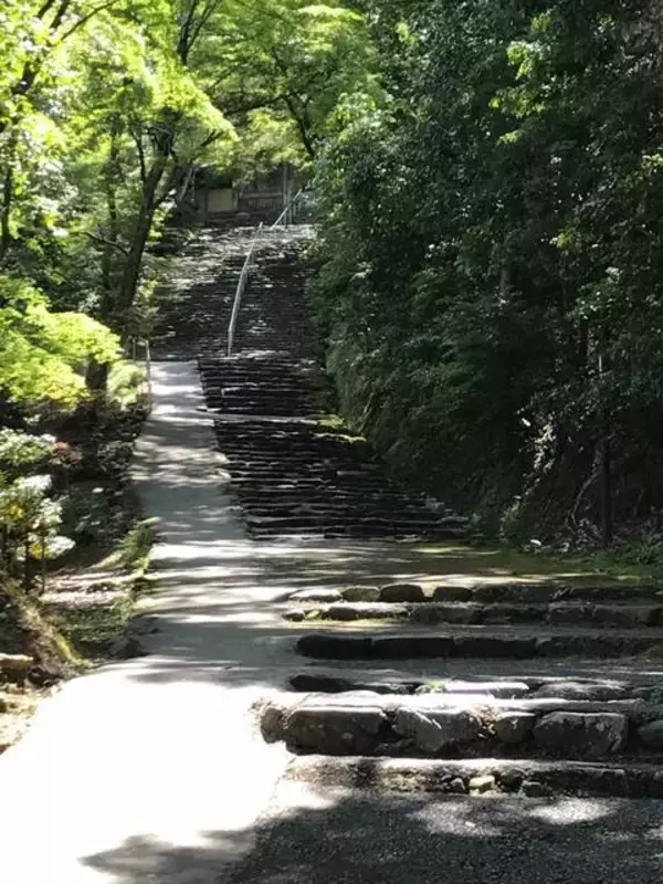 「マイナスイオンたっぷりの京都・三尾（高雄・槇尾・栂尾）ウォーキング【京の夏の旅】」の画像