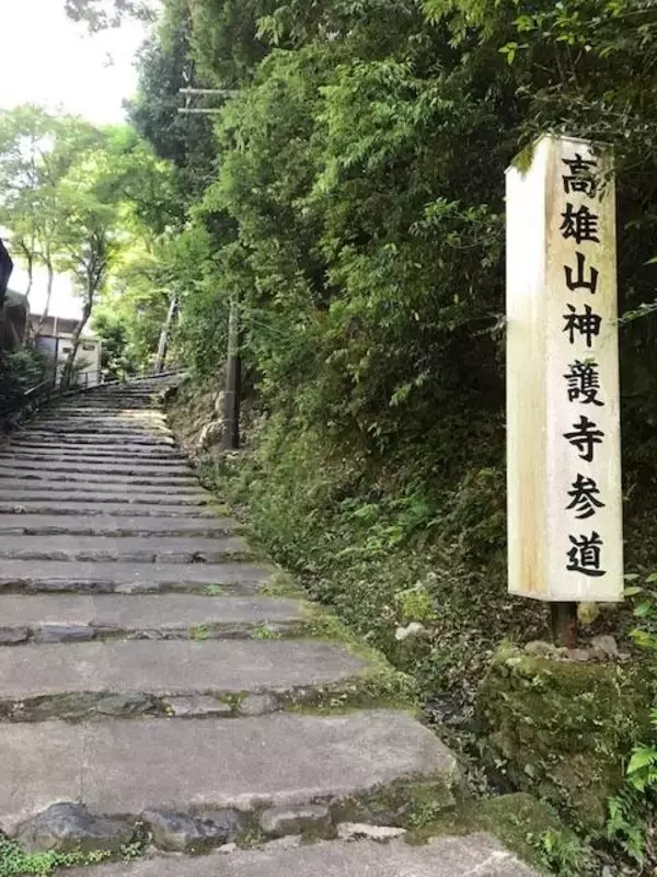 「マイナスイオンたっぷりの京都・三尾（高雄・槇尾・栂尾）ウォーキング【京の夏の旅】」の画像