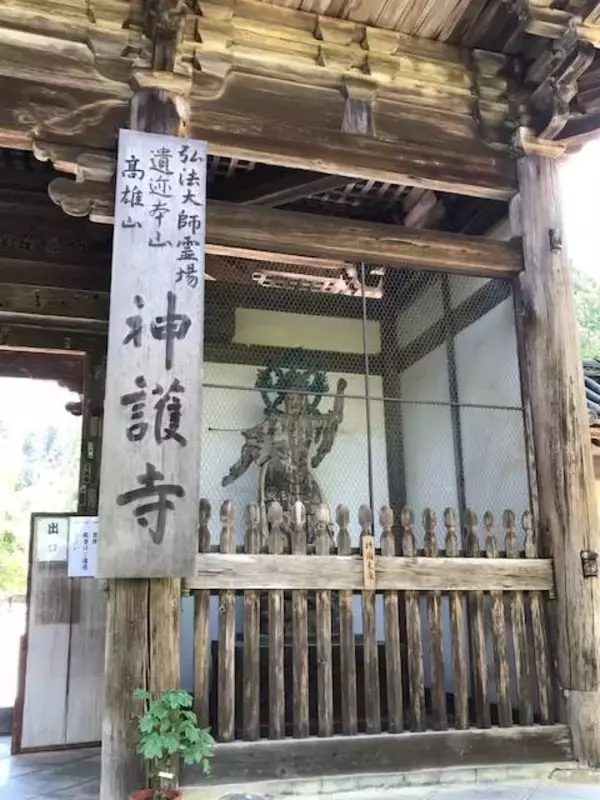 「マイナスイオンたっぷりの京都・三尾（高雄・槇尾・栂尾）ウォーキング【京の夏の旅】」の画像