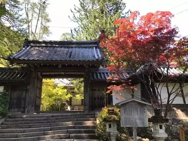 「マイナスイオンたっぷりの京都・三尾（高雄・槇尾・栂尾）ウォーキング【京の夏の旅】」の画像