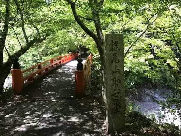 「マイナスイオンたっぷりの京都・三尾（高雄・槇尾・栂尾）ウォーキング【京の夏の旅】」の画像