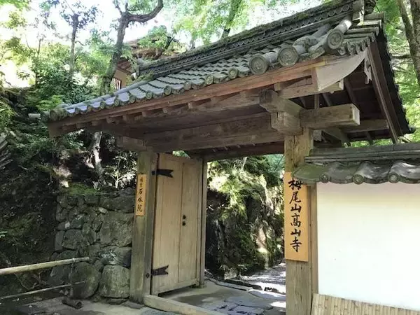 「マイナスイオンたっぷりの京都・三尾（高雄・槇尾・栂尾）ウォーキング【京の夏の旅】」の画像