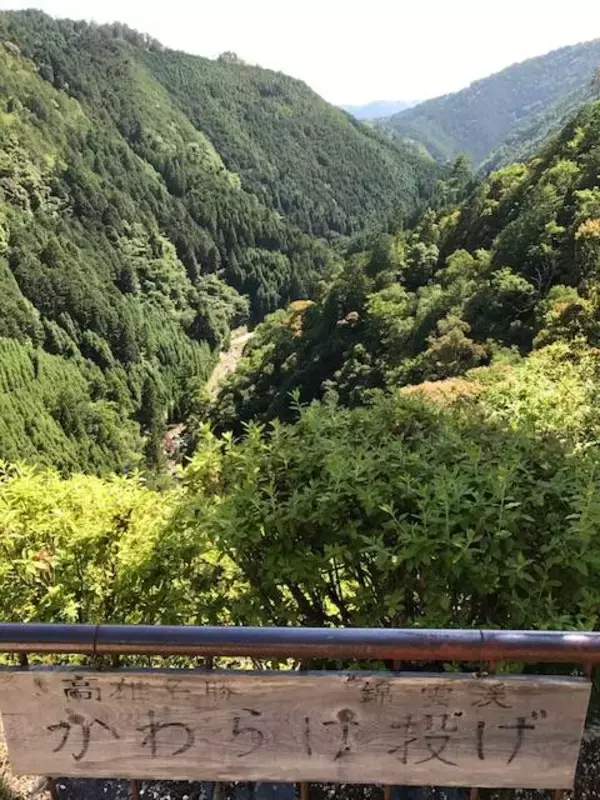 「マイナスイオンたっぷりの京都・三尾（高雄・槇尾・栂尾）ウォーキング【京の夏の旅】」の画像