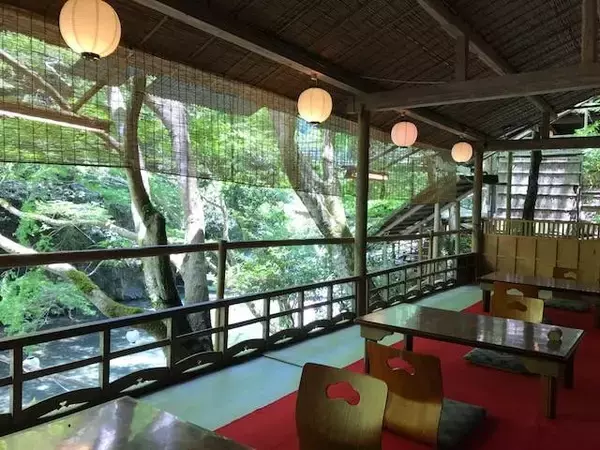 「マイナスイオンたっぷりの京都・三尾（高雄・槇尾・栂尾）ウォーキング【京の夏の旅】」の画像