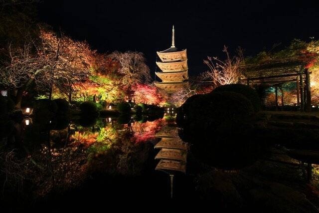 紅葉ライトアップ 秋の絶景 境内ライトアップ開催中 東寺 年11月19日 エキサイトニュース