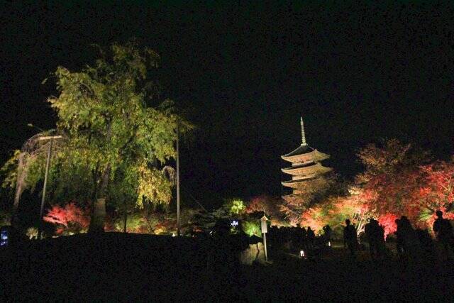 紅葉ライトアップ 秋の絶景 境内ライトアップ開催中 東寺 年11月19日 エキサイトニュース