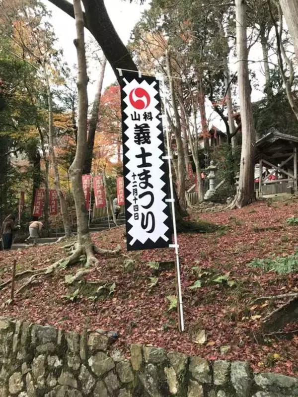 「【京都紅葉】『そうだ京都、行こう。』でも有名になった赤絨毯「毘沙門堂」」の画像