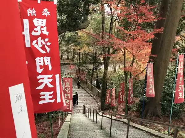 「【京都紅葉】『そうだ京都、行こう。』でも有名になった赤絨毯「毘沙門堂」」の画像
