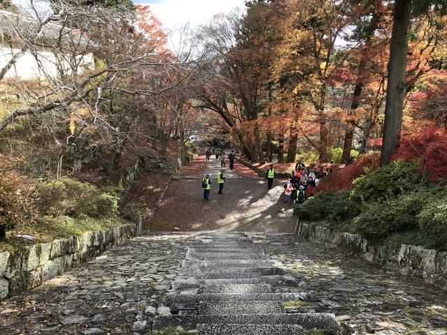 京都紅葉 そうだ京都 行こう でも有名になった赤絨毯 毘沙門堂 19年12月3日 エキサイトニュース