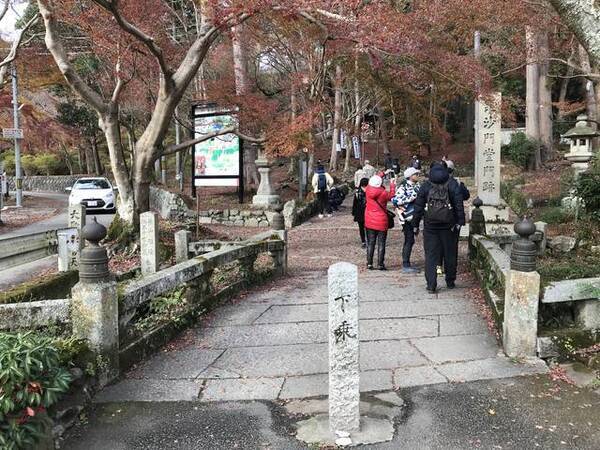 京都紅葉 そうだ京都 行こう でも有名になった赤絨毯 毘沙門堂 19年12月3日 エキサイトニュース