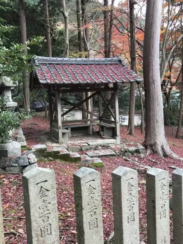 「【京都紅葉】『そうだ京都、行こう。』でも有名になった赤絨毯「毘沙門堂」」の画像