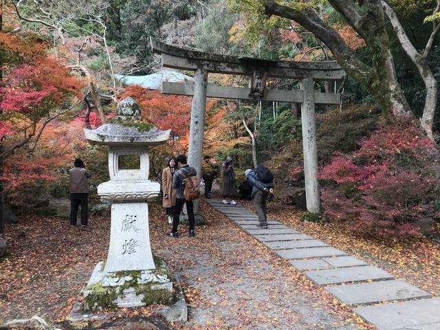 京都紅葉 そうだ京都 行こう でも有名になった赤絨毯 毘沙門堂 19年12月3日 エキサイトニュース