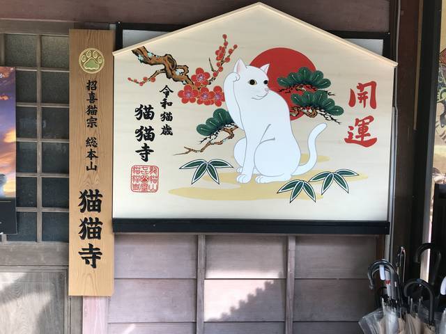 京都カフェめぐり ネコカオスのお寺 世界中のネコ好き注目店 十猫十色のギャラリーも 猫猫寺 にゃんにゃんじ 年4月6日 エキサイトニュース