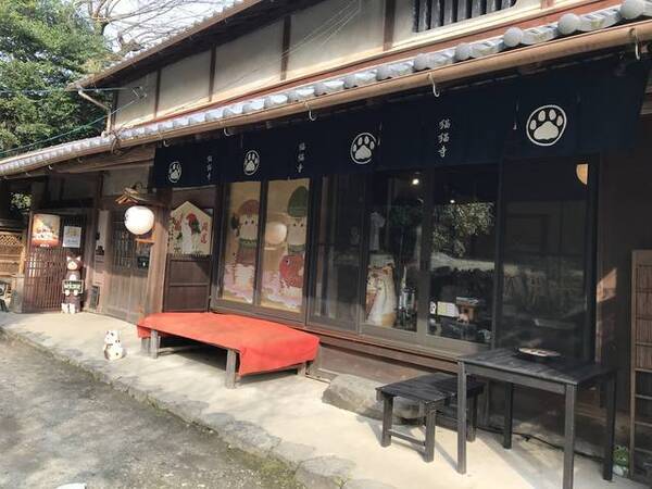 京都カフェめぐり ネコカオスのお寺 世界中のネコ好き注目店 十猫十色のギャラリーも 猫猫寺 にゃんにゃんじ 年4月6日 エキサイトニュース