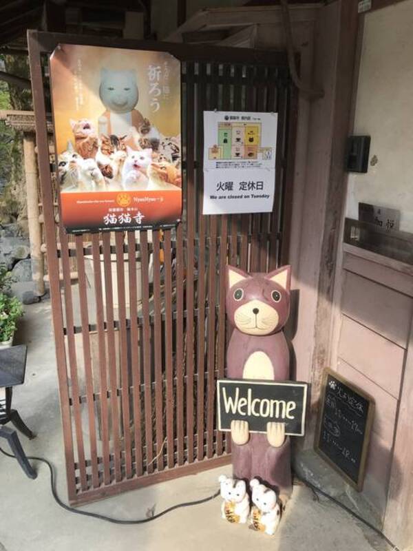 京都カフェめぐり ネコカオスのお寺 世界中のネコ好き注目店 十猫十色のギャラリーも 猫猫寺 にゃんにゃんじ 年4月6日 エキサイトニュース