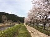 「とっておきの京都の桜「京北編①」気分はプチトリップ！森林に囲まれた京北町へ」の画像2