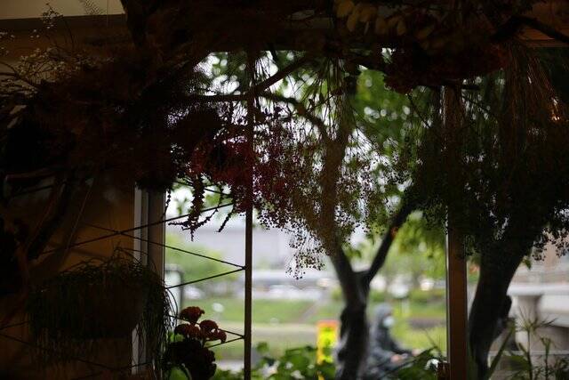 花と緑に囲まれてお茶できます ♪ 京都・鴨川のほとり「喫茶いのん」【神宮丸太町】