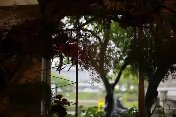 「花と緑に囲まれてお茶できます ♪ 京都・鴨川のほとり「喫茶いのん」【神宮丸太町】」の画像