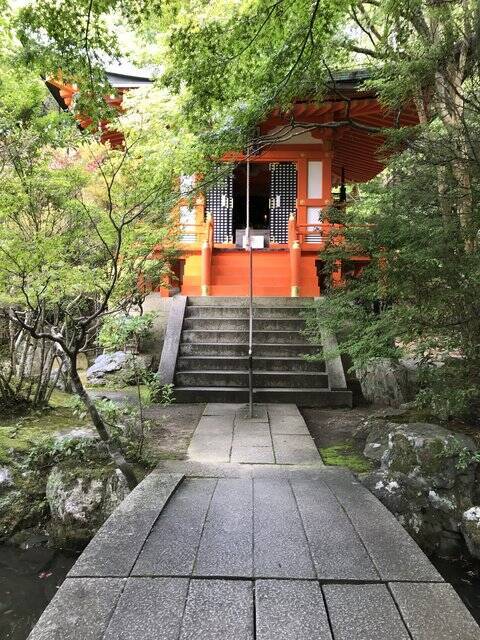【2020京都紅葉最新】石段の絶景赤絨毯でおなじみ！山科疏水では秋桜が満開「毘沙門堂」