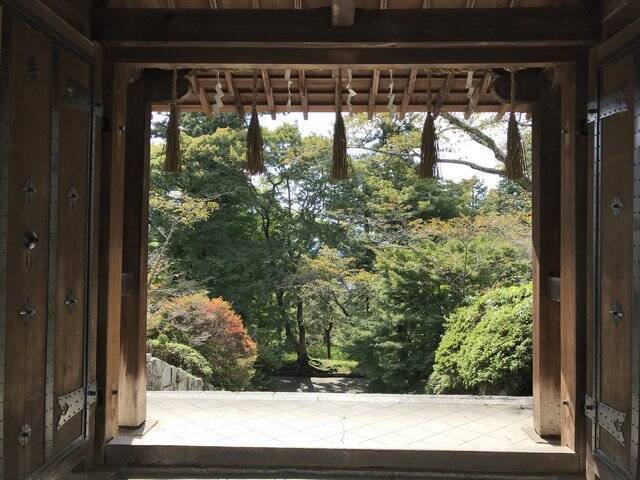 【2020京都紅葉最新】石段の絶景赤絨毯でおなじみ！山科疏水では秋桜が満開「毘沙門堂」