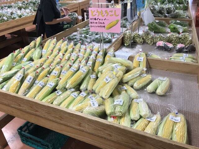 【京都おうちグルメ】注目ブランド牛『亀岡牛』がゴロンと贅沢に入ったレトルトカレー「たわわ朝霧」