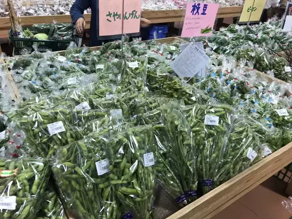 「【京都おうちグルメ】注目ブランド牛『亀岡牛』がゴロンと贅沢に入ったレトルトカレー「たわわ朝霧」」の画像