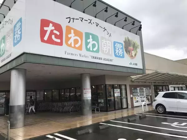 【京都おうちグルメ】注目ブランド牛『亀岡牛』がゴロンと贅沢に入ったレトルトカレー「たわわ朝霧」