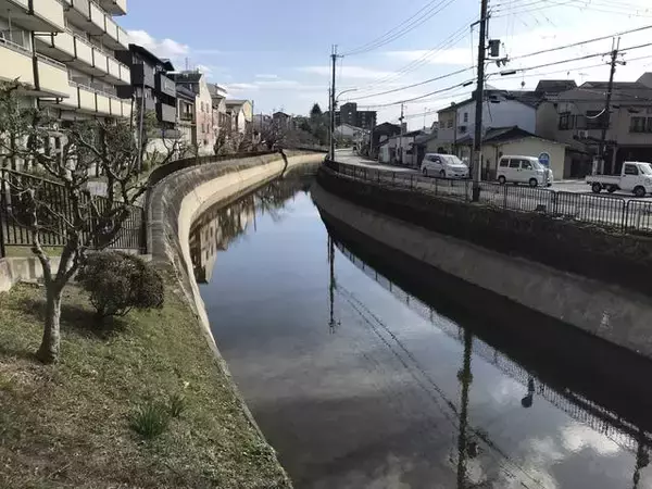 「【京都珍百景】川はないのに歩道に橋の親柱！？都市整備に伴う歴史的遺構☆「伏水街道第二橋」」の画像