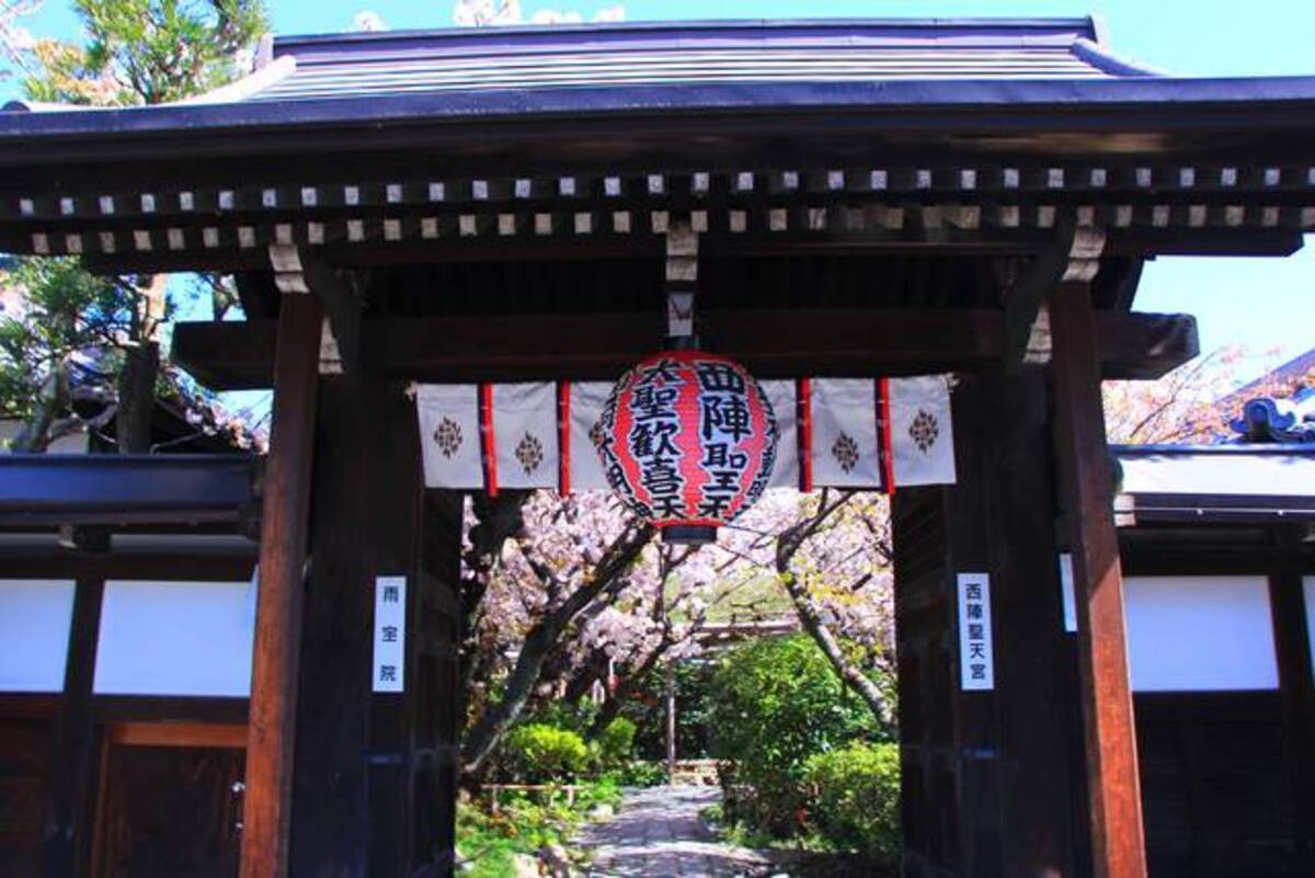 桜の京都 遅咲き桜の楽園 雨宝院 京都花めぐり 年4月21日 エキサイトニュース