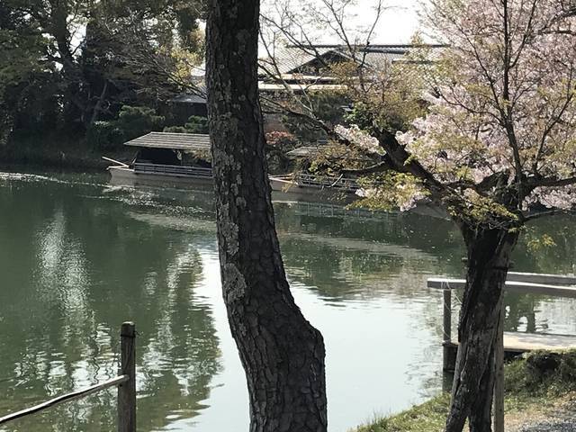 京都桜風景 嵯峨御所 の異名持つ日本最古の池庭を染める桜 限定花まつり御朱印も 大覚寺 年4月9日 エキサイトニュース