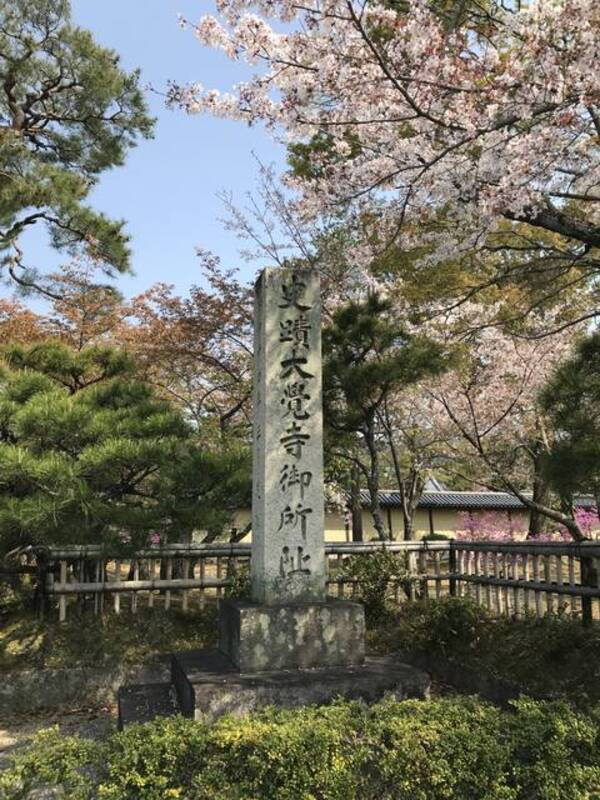 京都桜風景 嵯峨御所 の異名持つ日本最古の池庭を染める桜 限定花まつり御朱印も 大覚寺 年4月9日 エキサイトニュース