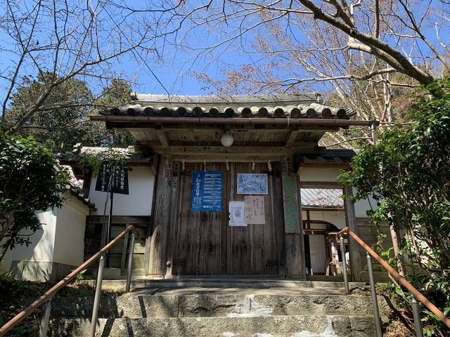 【京都の名桜】歌人 在原業平ゆかりの西京区「十輪寺」のなりひら桜