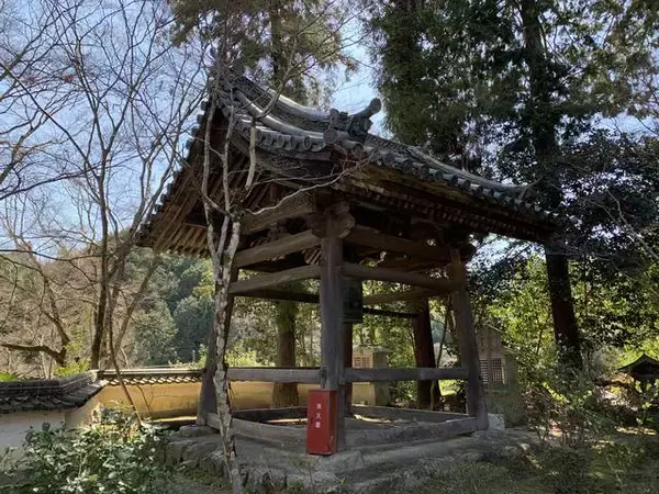 「【京都の名桜】歌人 在原業平ゆかりの西京区「十輪寺」のなりひら桜」の画像