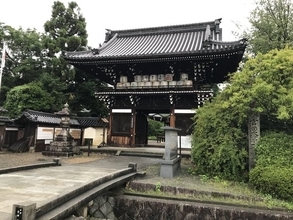 【京都神社めぐり】モフモフ好き必訪の通称『ネコ神社』☆日本三大酒神神社の一つ「梅宮大社」