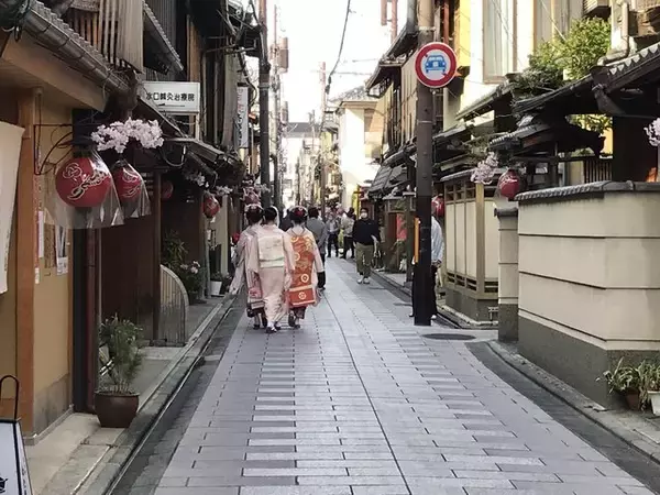 「【京都五花街】春を彩る芸舞妓の華やかな舞☆宮川町『京おどり』に行ってきました☆」の画像