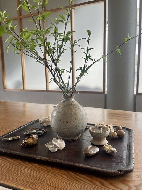 【京都ランチ】野菜たっぷり！カラダ喜ぶヴィーガン料理『菜食光兎舍』