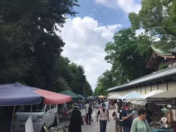 「【京都ぶらり】北野天満宮で夏越の祓“茅の輪くぐり”＆“天神さん”行ってきました☆」の画像