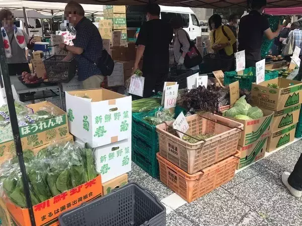 「【京都ぶらり】北野天満宮で夏越の祓“茅の輪くぐり”＆“天神さん”行ってきました☆」の画像