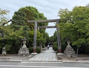 【京都】大神輿の修繕が完了！気合と熱量が一段とアップ！「木嶋神社 神幸祭」