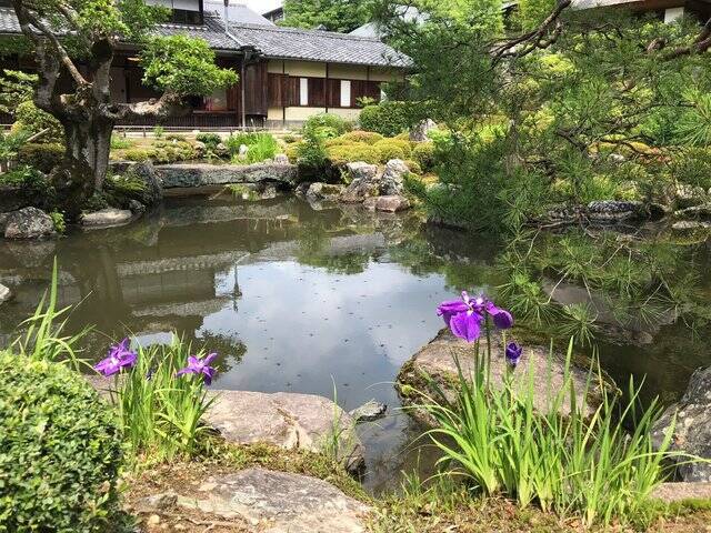 5rx7wgvt9ztvem 5rx7wgvt9ztvem