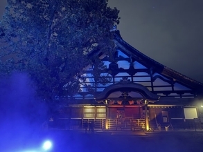 【京都観光】もみじの名所「東福寺」の夜が幻想空間に　青もみじ×光×音の特別体験