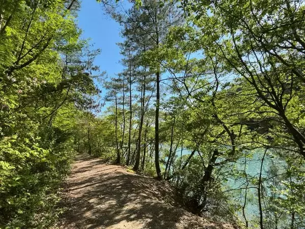 「【京都一周トレイル⑥】穴場絶景発見の北山西部コース！叡電鞍馬～氷室～京見峠～高雄☆」の画像