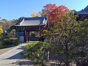 【特別公開】東山・大雲院「祇園閣」に潜入！「銅閣」とも呼ばれる名所