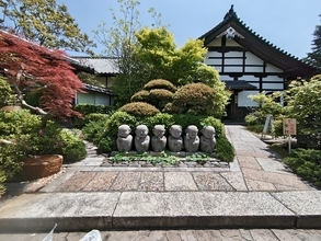 【京都特別拝観】新緑が清々しい「霊源院」で癒しの時間