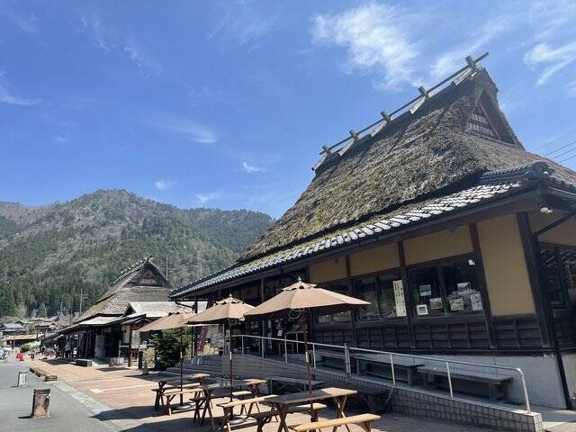 【京都の桜】美山 かやぶきの里でお花見を堪能！日本の原風景が広がる観光スポット